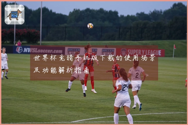 世界杯竞猜手机版下载的使用场景及功能解析指南