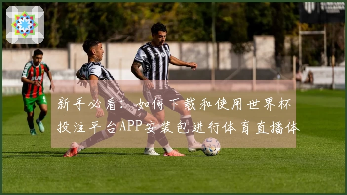 新手必看：如何下载和使用世界杯投注平台APP安装包进行体育直播体验