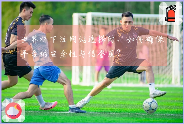 世界杯下注网站选择时，如何确保平台的安全性与信誉度？