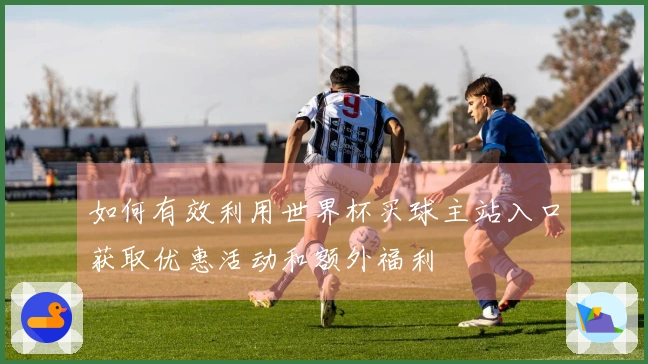 如何有效利用世界杯买球主站入口获取优惠活动和额外福利