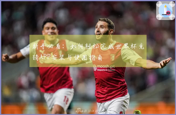 新手必看：如何轻松完成世界杯竞猜APP安装与使用指南