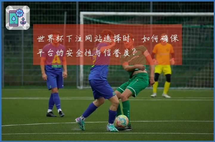 世界杯下注网站选择时，如何确保平台的安全性与信誉度？