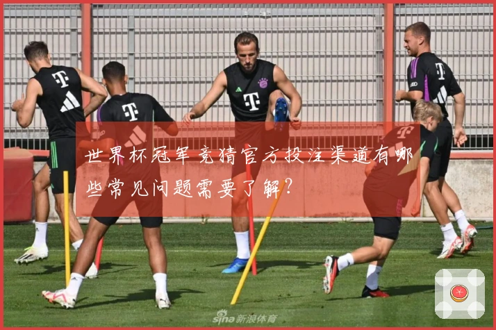 世界杯冠军竞猜官方投注渠道有哪些常见问题需要了解？