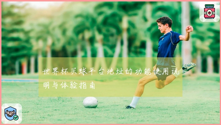 世界杯买球平台地址的功能使用说明与体验指南