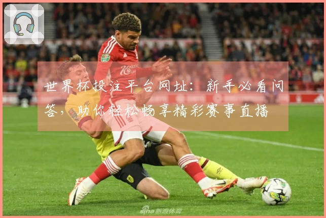 世界杯投注平台网址：新手必看问答，助你轻松畅享精彩赛事直播
