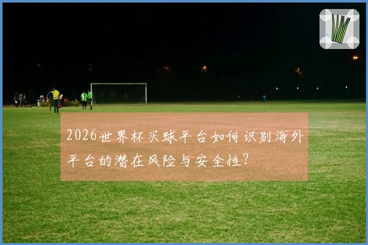2026世界杯买球平台如何识别海外平台的潜在风险与安全性？